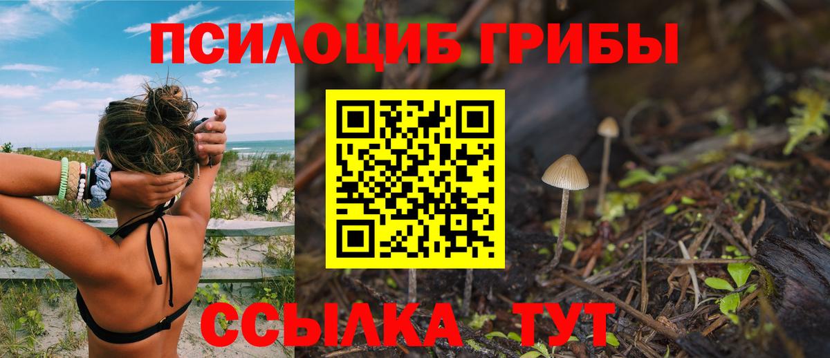 Галлюциногенные грибы GOLDEN TEACHER Черкесск